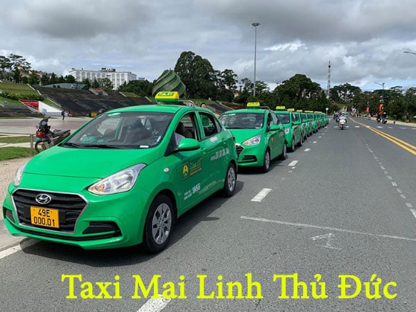Taxi Mai Linh Thu Duc