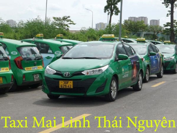 Taxi Mai Linh Thai Nguyen