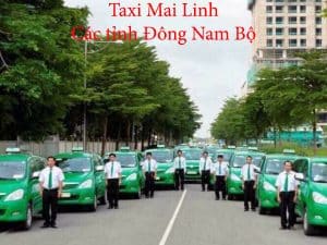 taxi-mai-linh-cac-tinh-dong-nam-bo