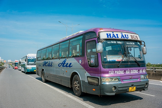 Xe Bus Hải Âu đặc trưng với màu tím