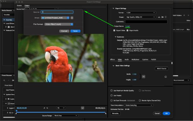 Adobe Media Encoder 2025 sở hữu nhiều tính năng mới